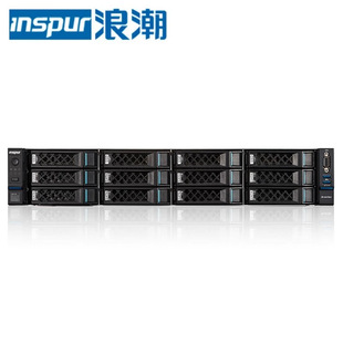 Suitable for Inspur Cs5260F Domestic Server Tengyun S2500 On-Demand Configuration, Contact Customer Service for Expansion