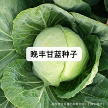 ���S���{�N�Ӵ�A���˾��Sһ̖�N�Ѿ�о���s��Ʒ�N�ͳ�̦ͥԺ�߲�