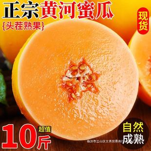 �S���۹���Ϲ��ܹ�ˮ�����䮔���������5�����10���l