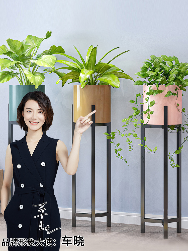 Potted plant stand Nordic indoor home balcony decoration wrought iron plant shelf for living room minimalist pothos plant hanger