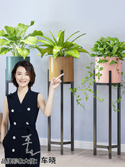 Potted plant stand Nordic indoor home balcony decoration wrought iron plant shelf for living room minimalist pothos plant hanger