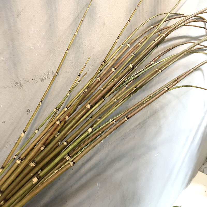 细竹木贼客厅仿真绿植酒店竹节花艺加长装饰草插花摆件摆设配材|undefined