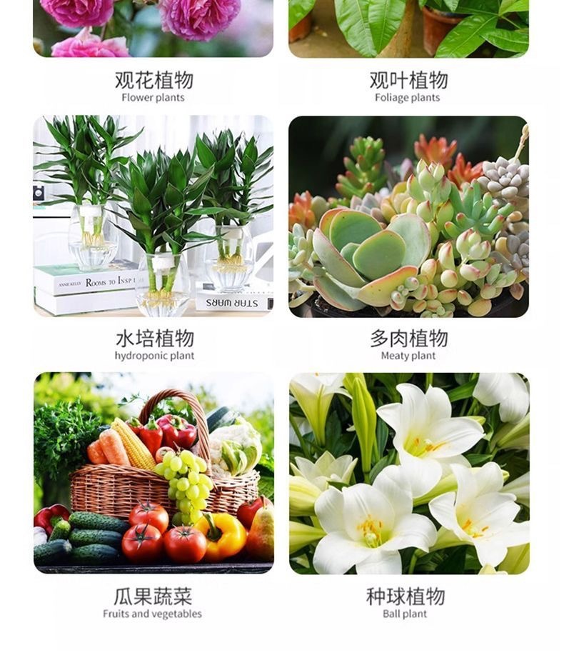 232b4409-b75c-4998-9cd5-099ea9af9f9b.jpe