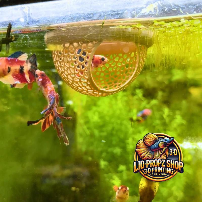 Independent Station New Fish Rest Area Fish Lounge Aquarium Accessories Floating Fish Lounge