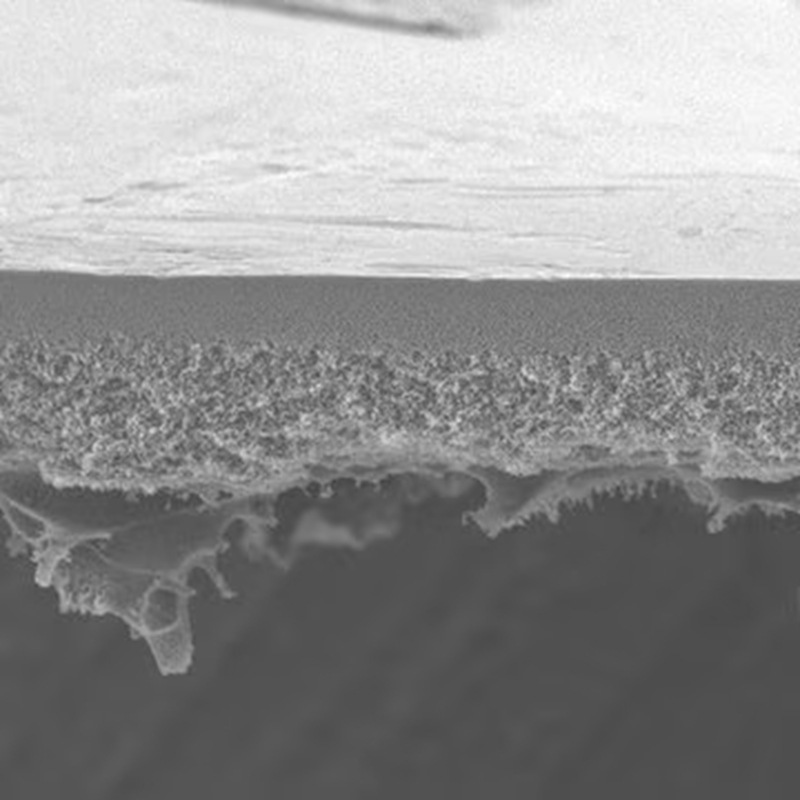 PBMK07610 Millipore 密理博 超滤盘 300 kDa NMW 76 mm