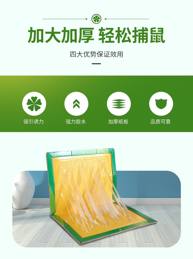粘鼠板_02.jpg