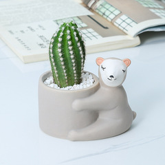 Cross-border gardening Amazon ceramic planter creative cartoon decorative piece succulent cactus small flower pot green plant decoration