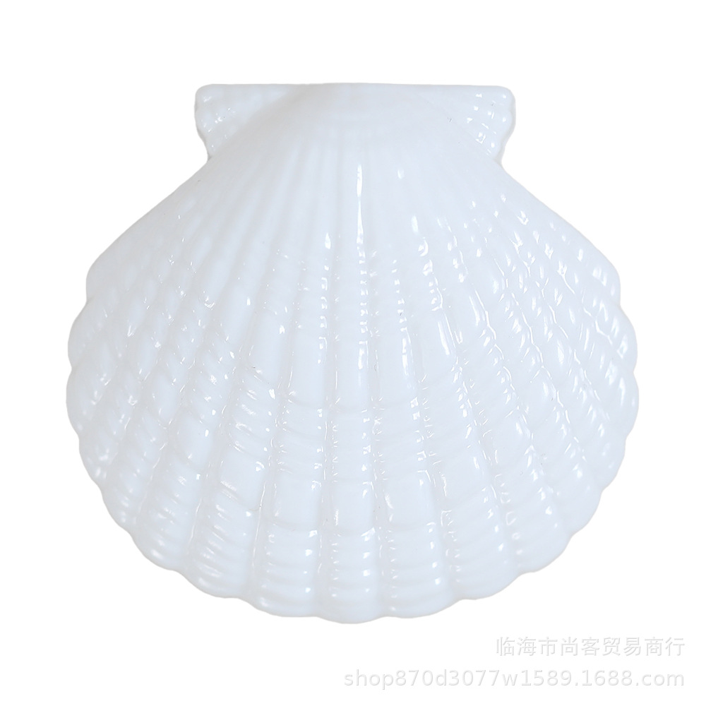 白色贝壳10.jpg