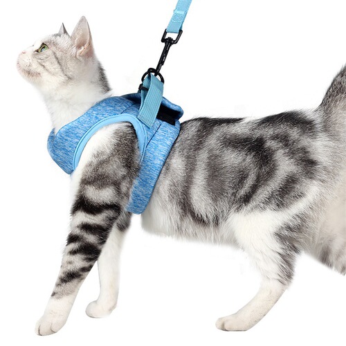 Amazon cat rope cat harness cat traction rope breathable chest back slip cat rope cat harness traction rope