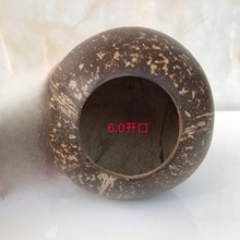 天然椰子壳老椰壳小开口光滑椰子壳幼儿园DIY多肉种植花盆工艺品