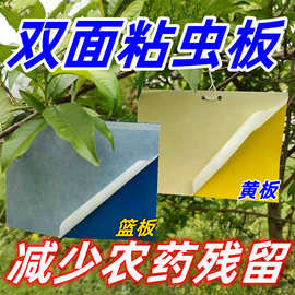 粘虫板黄板诱虫板纸贴双面小黑飞果蝇诱捕器针蜂蓟马果蝇果园大棚