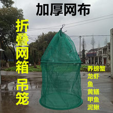 渔网箱折叠圆形网箱 龙虾螃蟹暂养吊笼网箱鱼护加厚 多款养鱼旧爱