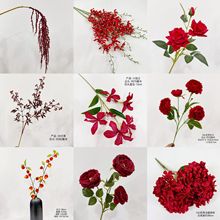 Ʒ|tɫϵ滨 Ƽtɫ Yûcٻ쾰l