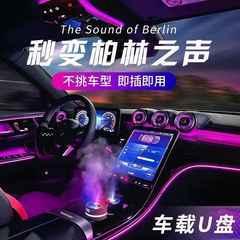 [プロフェッショナルチューニング] 2025 ベルリンサウンド 新車 USB フラッシュドライブ ロスレス音楽 高品質曲 USB フラッシュドライブ
