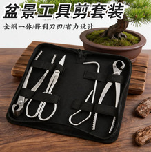 不锈钢盆景工具套装叶芽剪斜口剪球节钳松土花园艺造型修枝树瘤剪