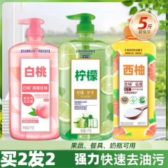 食器用洗剤 グレープフルーツの生臭さを除去 家庭用お手頃価格のプレスボトル キッチンの消臭・油落とし食器用洗剤
