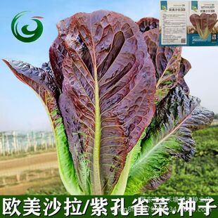 �W���Ͽ�ȸ�˷N��ɳ���˷N�ӿ��������˷N��ͥԺ�����̨�Nֲ�߲�