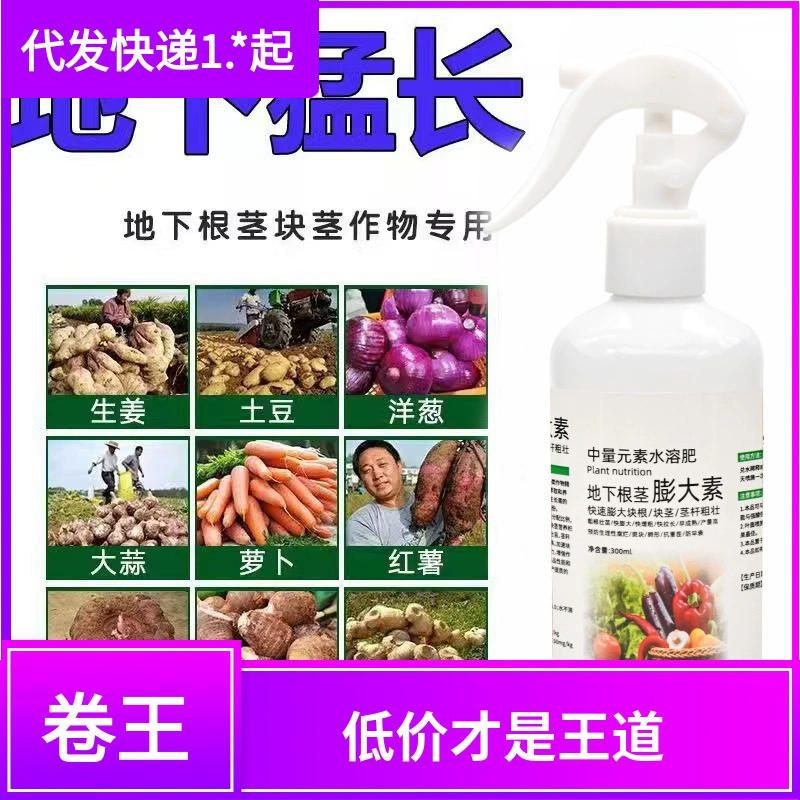 Быстро увеличенные корневища растения в растворимых в воде элементах