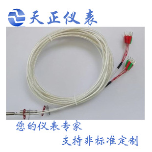 PT100ضȂ WZPM2-001 WZP2-010p֧ о