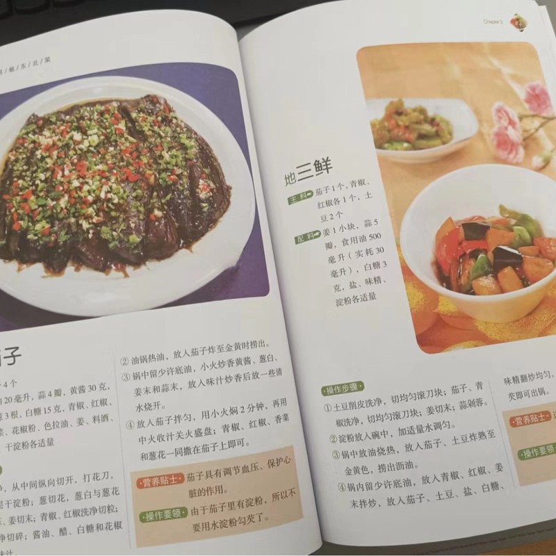东北家常菜菜谱好学易做东北菜美食天下简易美味营养健康经典厨房|undefined