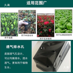 С̖�����������癉�ƠI�B����ɫ�Ӻ�Nʯ��ֲ�����Ș���I�B��
