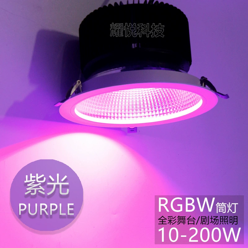 LED ceiling light for leisure, 50W, 40W, 100W