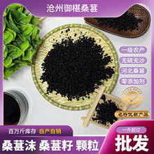 批发桑葚沫颗粒黑籽泡酒提取渣黑椹桑椹碎粒黑椹自然晾晒桑椹子
