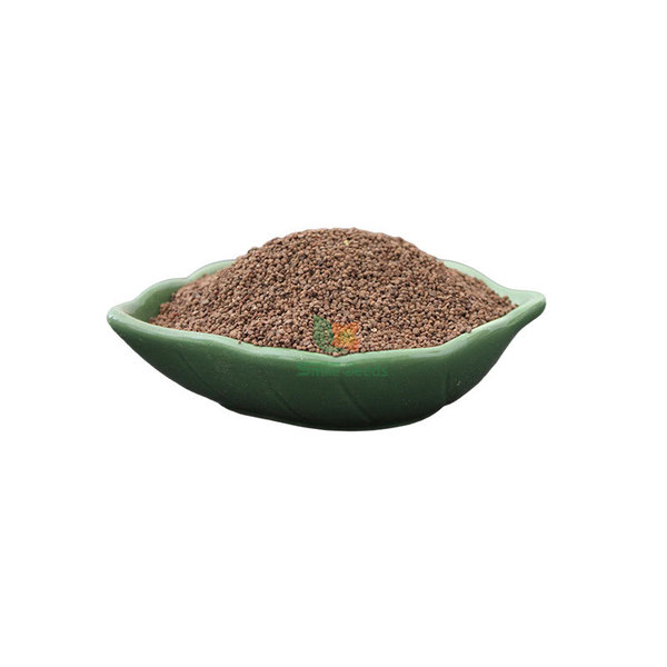Baochunhua seeds perennially staying at the root balcony potted four…