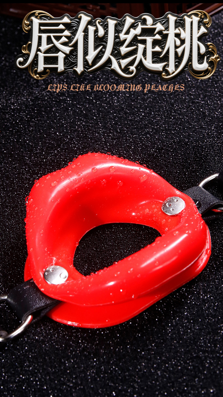 Metal and Faux Leather Mouth Gag with Nipple Clamps Bondage Accessory Set — detail image 22