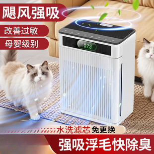 ȫ�Ԅ���؈ë����՚�����������B؈����ë�C������ë����