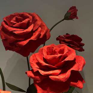 ���ͼ�ˇ���b��ü�ˇõ���Y��c���߼����̈���ꐴ�dp�c