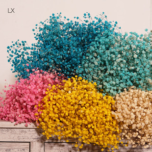�M����������120g��ϏS�����l�M�����������ɻ������Y�л������
