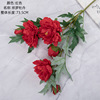 Sago Peony Simulation Fake Fake Flower Green Plants Wholesale Wedding Decoration Crafts INS Wind Cross-border DY1-5769