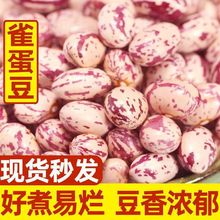 大雀蛋豆新货500g奶花豆花生豆云南农家自种四季豆米大花豆芸豆子