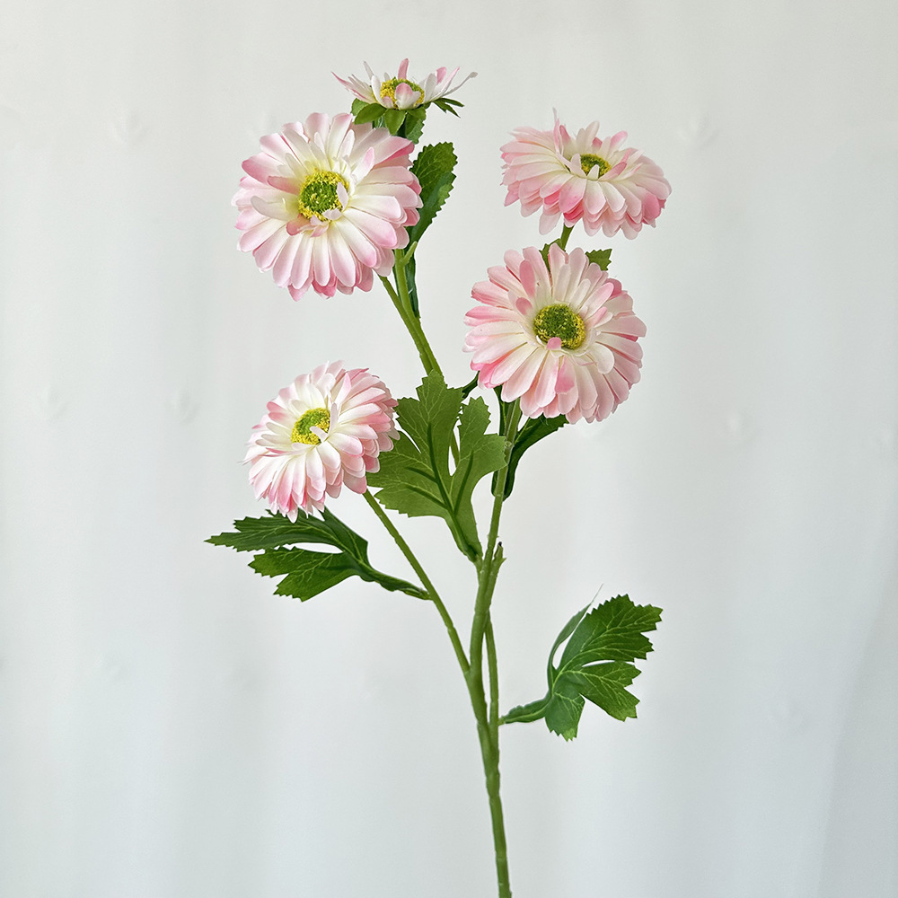 하얀 심장 가루