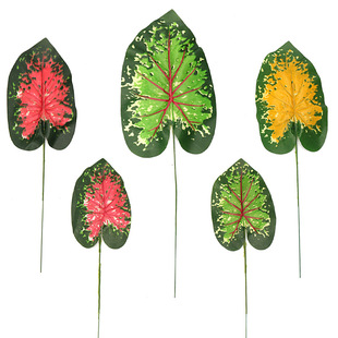 ����tɏ�~��ɫ���~���^�~�׃��@�����b٘��~��ֻ�������~���l