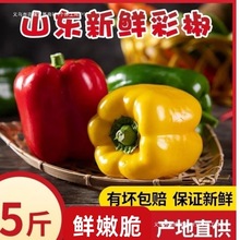 ��ɽ�|��ʽ����A����ʽ����ӽ��������\���t�S��ˮ�����߲�