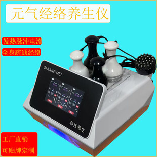 Vitality Meridian Instrument Three-Way Master Moxibustion Therapy Growth Bio-Microcurrent Health Care Lucky Cat Body Instrument