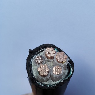 ����늾���|�S��YJV22-5*16ƽ������5о�z�b��| �����~о��|��