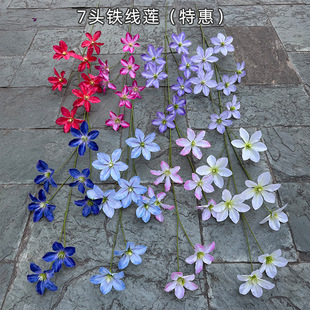 �羳��Ʒ�����F��ɏ 7�^�F��ɏ ��ɏ����Y�û�c�Ҿ�ܛ�b�ٻ���