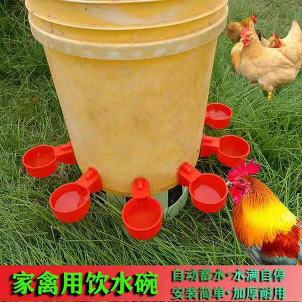 New universal chicken