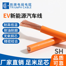 领胜EV汽车线高压无屏蔽600VAC/900VDC新能源汽车高压动力系统