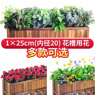 ����ٻ���ֲ������bGֲ�M��ͥԺ���ۻ��仨�ػ����쾰