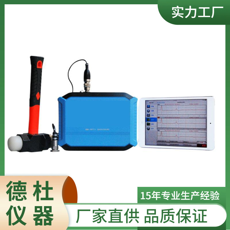 供应RSM-PRT（S）基桩低应变检测仪