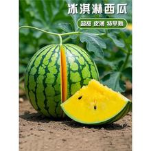 SϷNӱƤ쳬СP8424ϷNѸ߮aˮļ