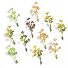 ����ֲ��ާ�ֲ��ˮ�ݷ��滨diy�b������Ұɣ���������Ϲ�