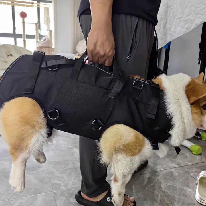 Рюкзак-переноска для животных Braided Night Pet (Размер L)
