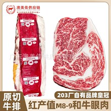 ���޼t�aֵ��ţ����203�Sԭ��ţ�����l���ѩ��ţ����������