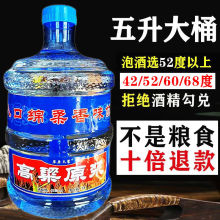 高粱酒原浆白酒桶装清香型42/52/60/68度散装高度粮食白酒泡药酒