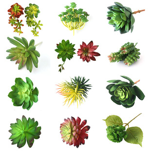 �������ֲ���辰����΢���^DIY�b�Ʒ�[���Gֲ������ֲ��b�